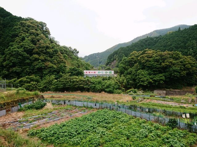 �R�̒���_�����̓� ��������