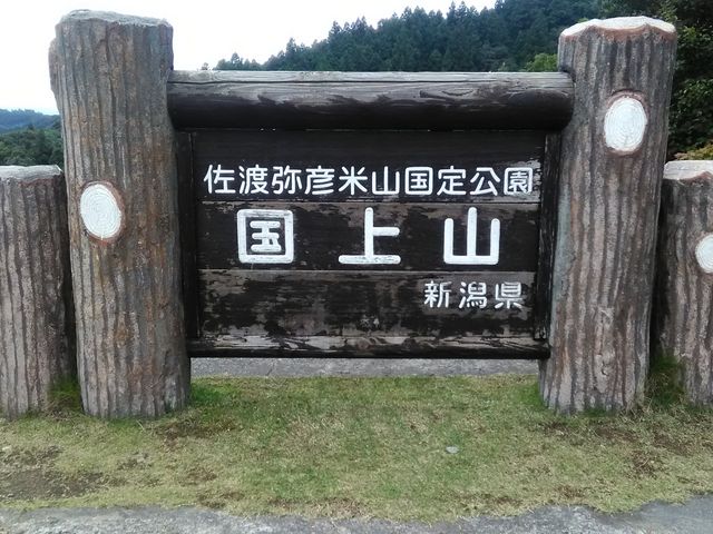 肻Ȃ̍RE㎛eoR̓eʐ^1