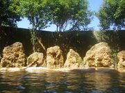 ͂ԁ[̎cفuؔTt̓v̓eʐ^2