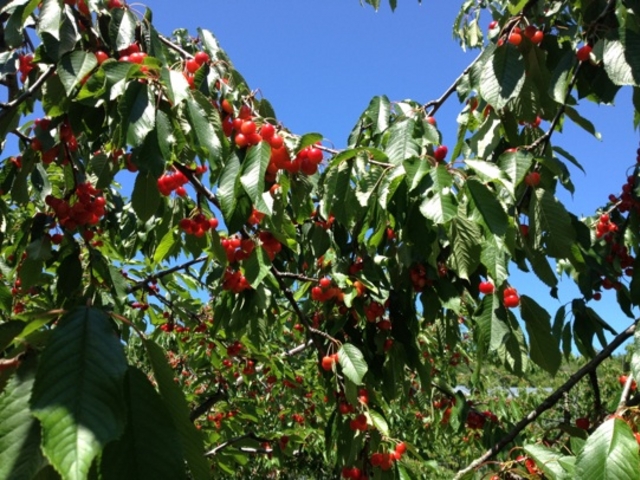 �����������肵�ĂāA�s�����b�オ����܂����B_�P����