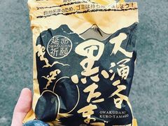 ���낿��񂳂�̋ʎq�����ւ̓��e�ʐ^1