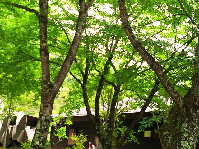 [̔̐XEtH[o[xL[nEX̓eʐ^1