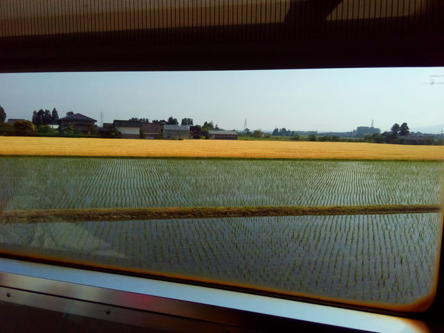 ���������c�Ɣ����B�����L�x�ȕx�R���ے����镗�i�B_�v�g����̎U���i��