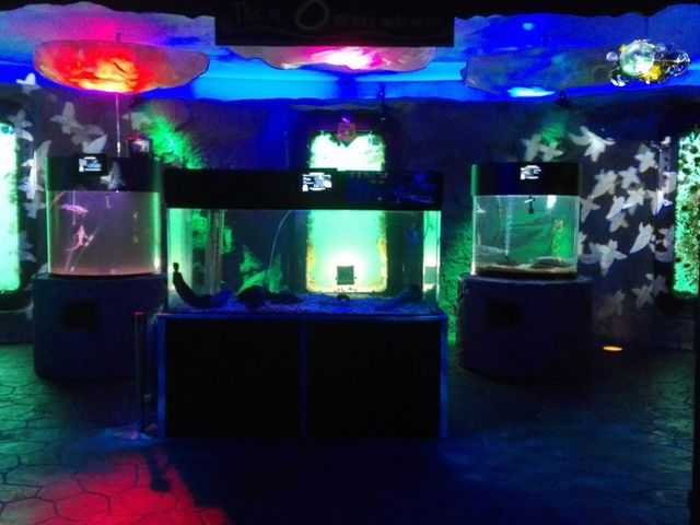 �n���̐����فI�G���x�[�^�[�̃h�A���J���ƁA����Ȋ����̌��i���i�΁I�I_�X�C�W�]���I�z�[�c�N�^���[