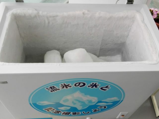 �ܘ_�A���������ĎB�e���܂����i�΁j(�L��`*)_�X�C�W�]���I�z�[�c�N�^���[