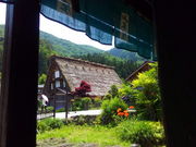 kijimunar̎R{̓eʐ^1