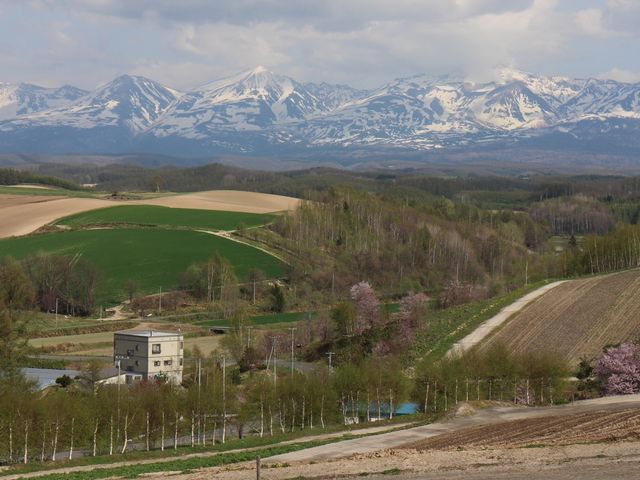 ���c����_�p�m���}���[�h