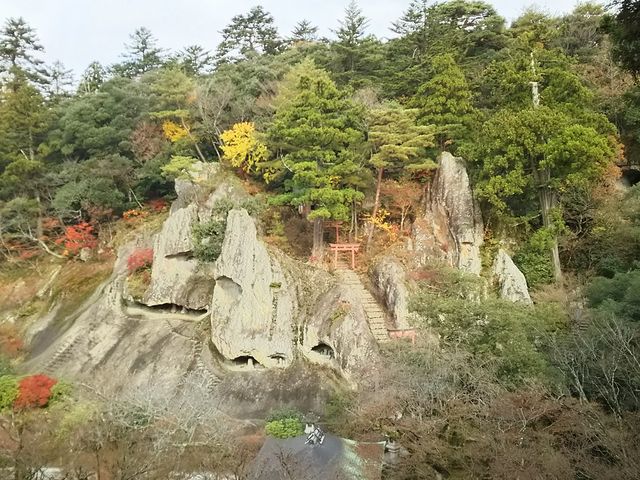 �g�t�͑��������悤�ł��B_�ߒJ��