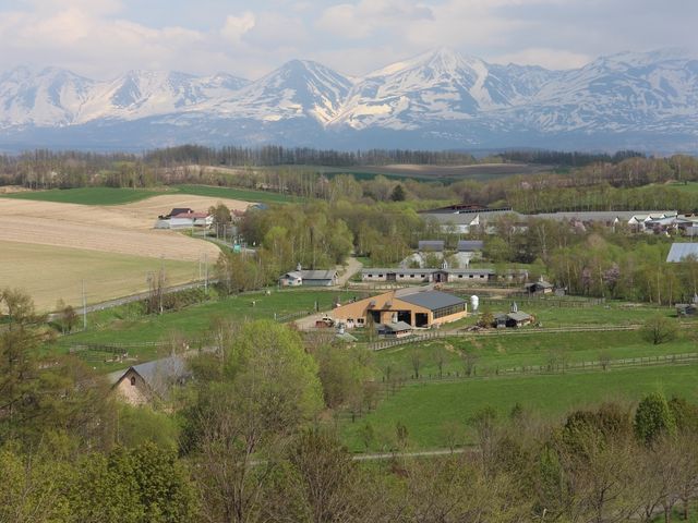 �q�̓I�ȕ��i_���c�̋u��������