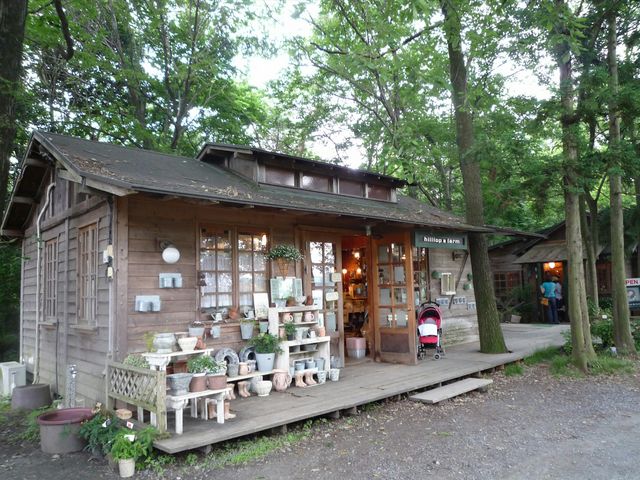 Todays̃qgbvt@[̓eʐ^1