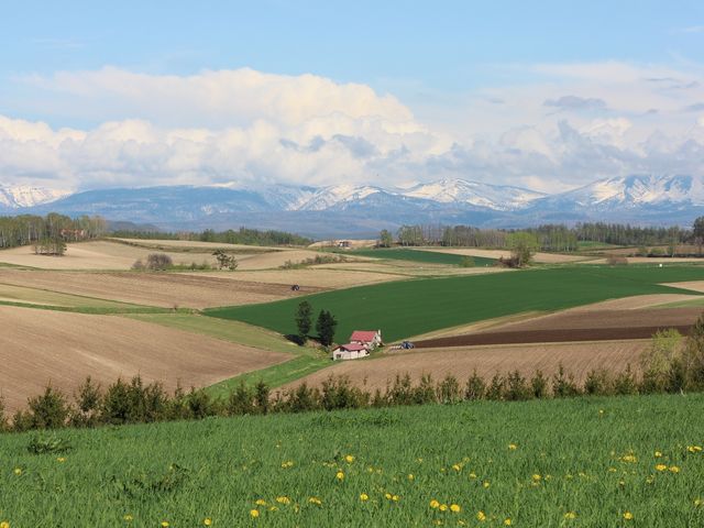 �T���̃p�b�`���[�N�̘H�P_�p�b�`���[�N�̘H