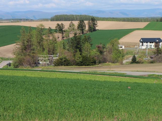 �T���̃p�b�`���[�N�̘H�Q_�p�b�`���[�N�̘H