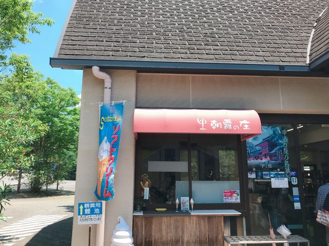 �����̏�_���C�i���[���X�g���������̏�