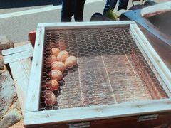 �G����̉��{���ւ̓��e�ʐ^1