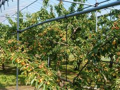 [₳̂ԂK[fւ̓eʐ^1