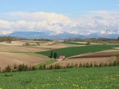 ��������񂳂�̃p�b�`���[�N�̘H�ւ̓��e�ʐ^1