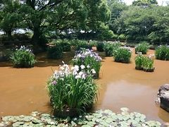 񂿂񂳂̏Rւ̓eʐ^1