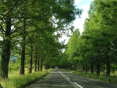 Ƃ܂Ƃ܂̃^ZRCA؂ւ̓eʐ^1