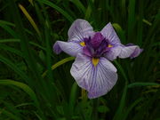 LOTTY̋g^͂Ȃ傤Ԃ̓eʐ^1