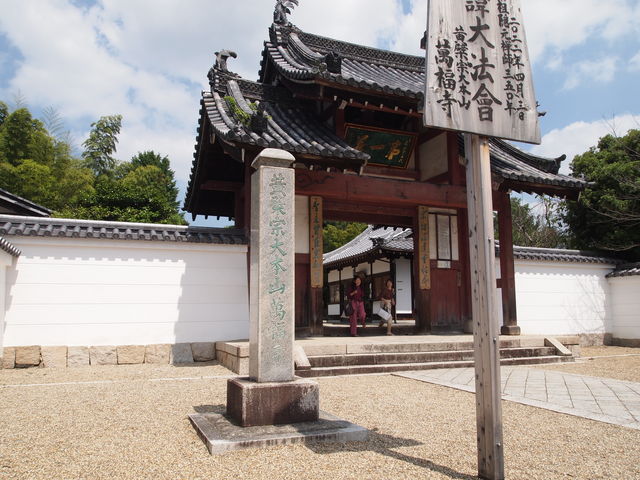 ��O_���@�R�ݕ���