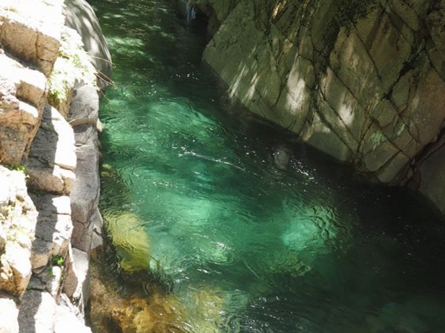 �����x�̍����k�J_�`���k�J