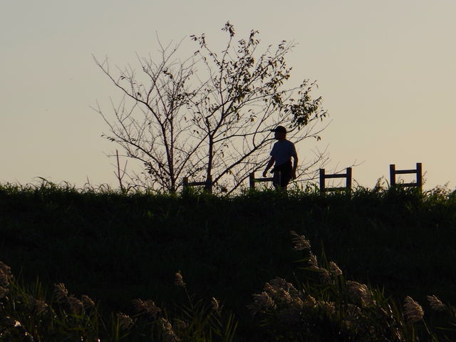 s̎UR[X_L샊o[TChp[N