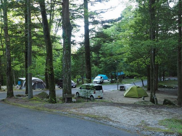 �L�X�Ƃ����I�[�g�T�C�g_��ؑ]�R�[���L�����v��