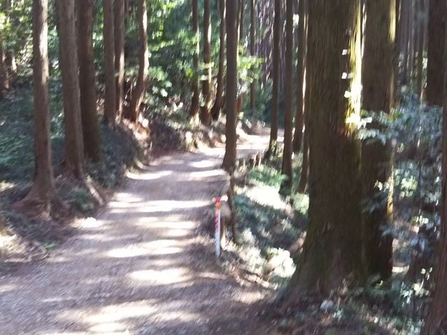 ��������w���畨���R�֌������r��_�����R