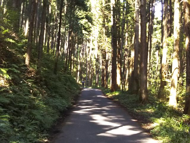 ��������w���畨���R�֌������r��_�����R