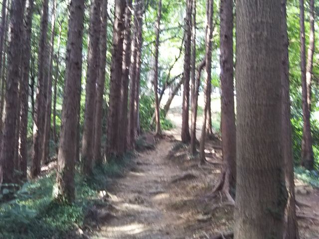 �����R�Ɠ��a�c�R�̊�_�����R