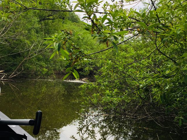 �앝�̋����Ƃ���Ȃ̂ŁA�}�t����蔲���Đi�ފ����ł��B_������ЃJ�k�[�v��