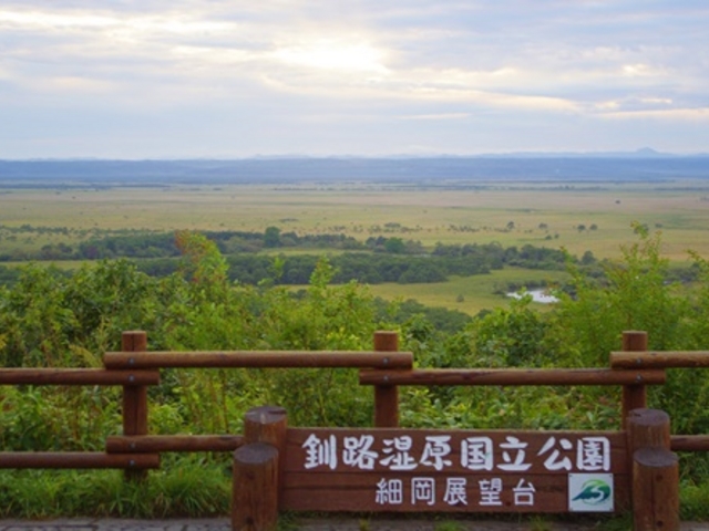 ��ϖ]����̋��H����_�׉��W�]��