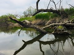 �߂��߂�����̊�����ЃJ�k�[�v���ւ̓��e�ʐ^1