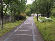 pikopiko̐ԉHΓ̓eʐ^1