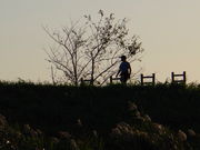 ݁B̏L샊o[TChp[N̓eʐ^3