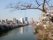 pikopiko̍]ˏOxՂ̓eʐ^2