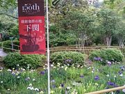 �܂�܂���̓��s���^���傤�Ԃ̓��e�ʐ^1