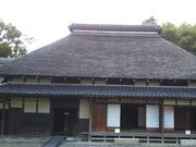 pikopiko̐ԉHRώ@̓eʐ^1