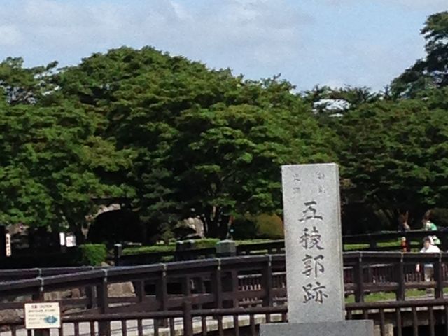 �������ꂢ_�ܗŊs��