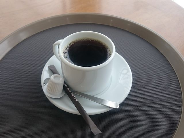 ���ꂽ�ăR�[�q�[_���̉w ���̍������΂�