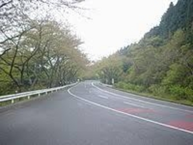 �^�[���p�C�N_�A�l�X�g��c�@�^�[���p�C�N����