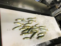 MIX݂̂ɉBiȏWϏƂƁjւ̓eʐ^1