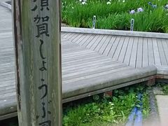 {s傤ԉ̃niVEu̎ʐ^1