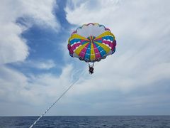 ܂񂳂CoCoMarineւ̓eʐ^1