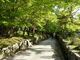 イオンさんの興聖寺の琴坂の投稿写真1