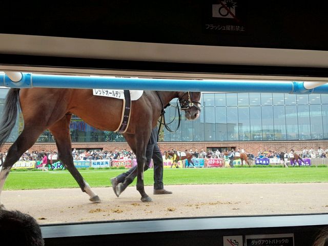 函館2歳S】ラインパシオンで重賞初騎乗の大江原比呂騎手は13
