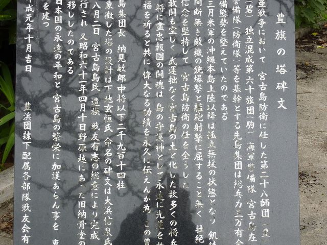 ���i����̖L���̓��̓��e�ʐ^1