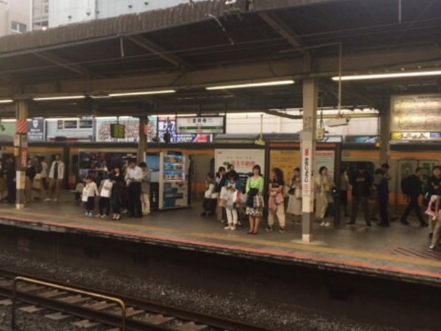 �z�[���̗l�q�ł��B_�i�q�g�ˎ��w