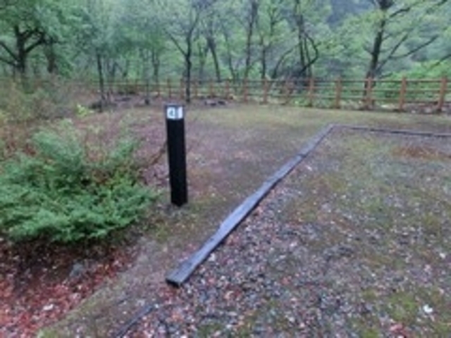 �I�[�g�T�C�g_�Ēn������L�����v��