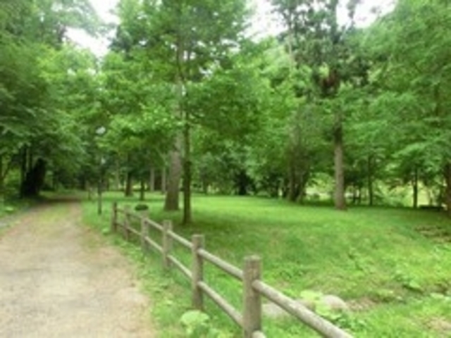 �ג���10���ɕ�����Ă���_�v�g���򎩑R�x�ɑ��E�����̂��̗�